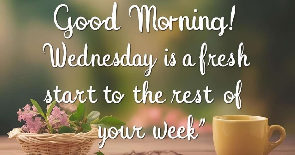 Wednesday Morning Motivational Quotes